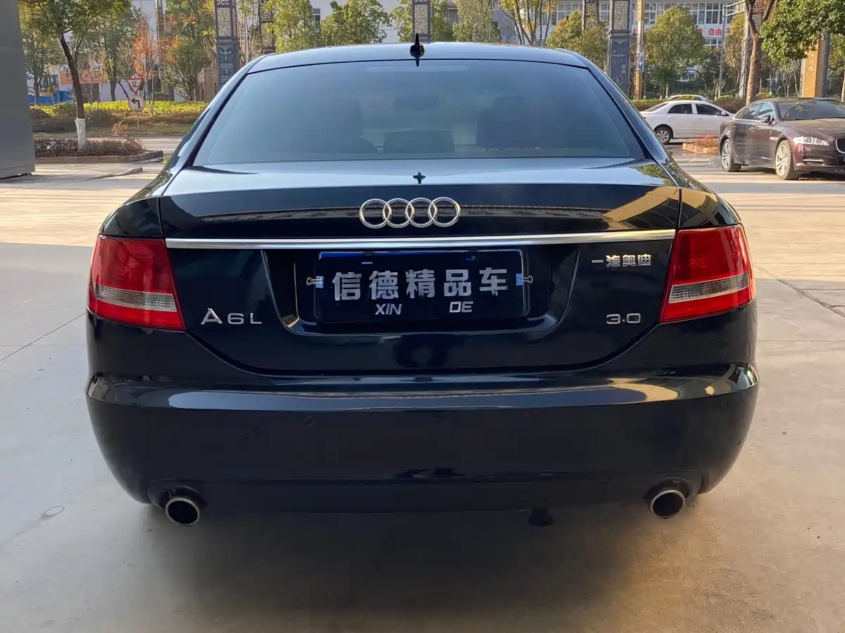 Audi A6L 2005 Model 3.0L Technology Leader фото 8