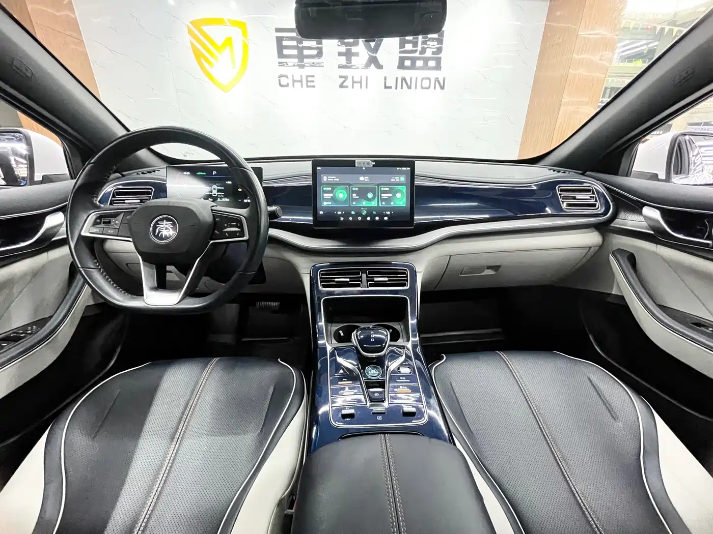 BYD Qin PLUS 2023 Champion Edition DM-i 120KM Leading Type фото 19