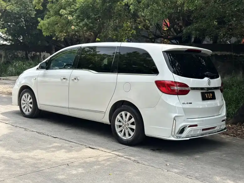 Buick GL8 2017 25S Luxury China V фото 4