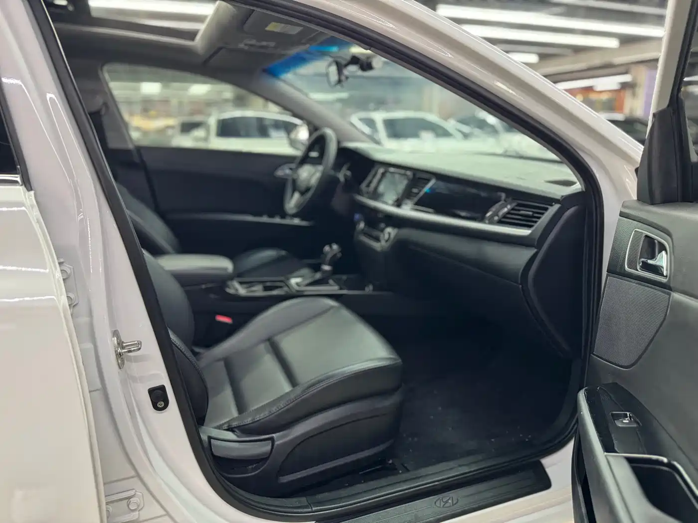 HYUNDAI NAME PICTURE