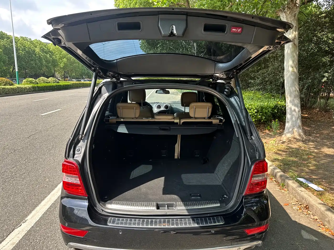Mercedes-Benz M-Class 2010 ML 350 4MATIC Luxury фото 11