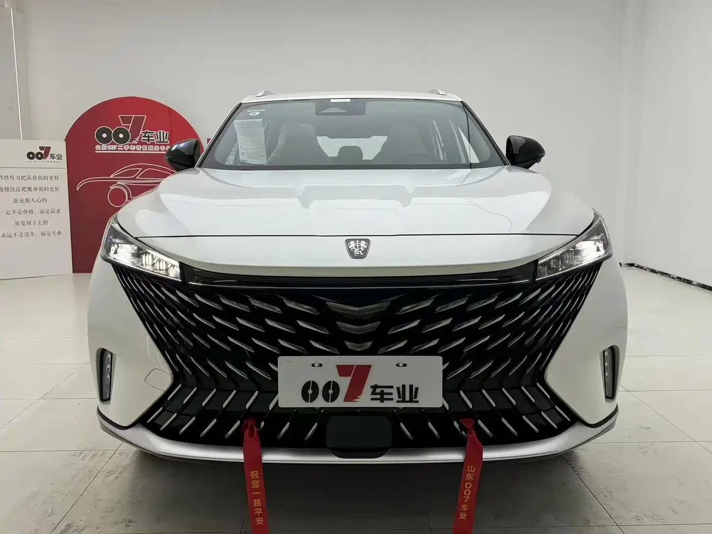ROEWE RX5 NEW ENERGY