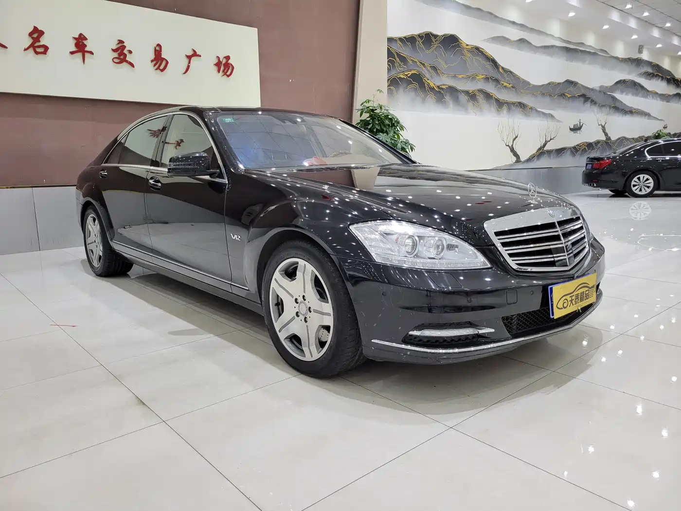 Mercedes-Benz S-Class 2008 Model S 600 L фото 3