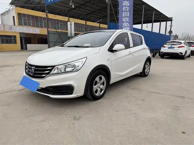 baojun 310