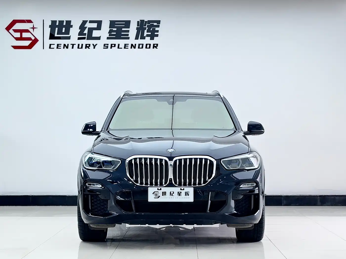 BMW X5 (Import) 2020 xDrive40i M Sport Package фото 3