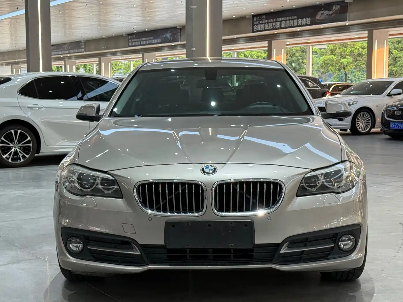 BMW 5 Series 2014 520Li Elegance фото 2