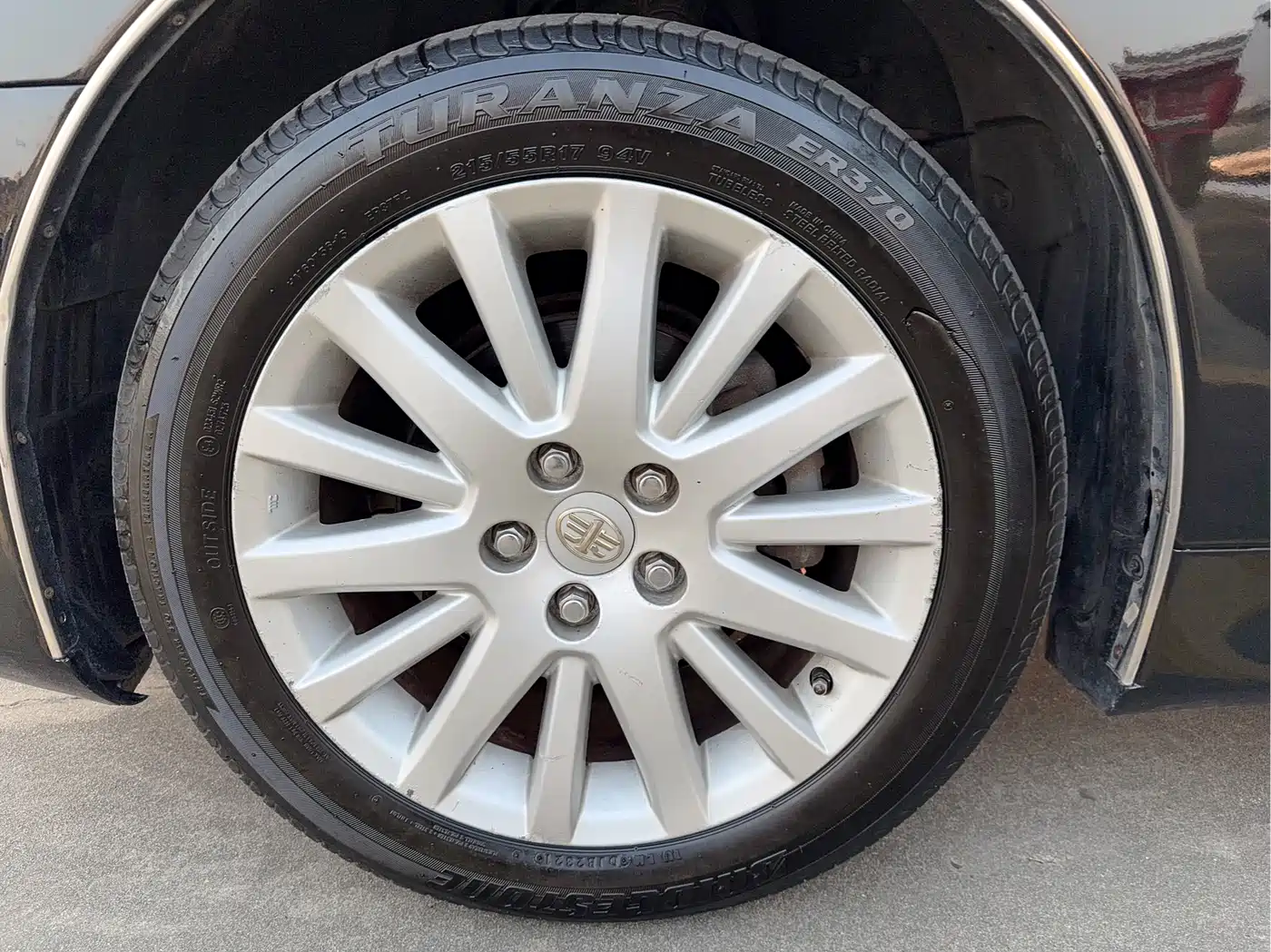 Hongqi Hongqi盛世 2009 4.3L Elite фото 15
