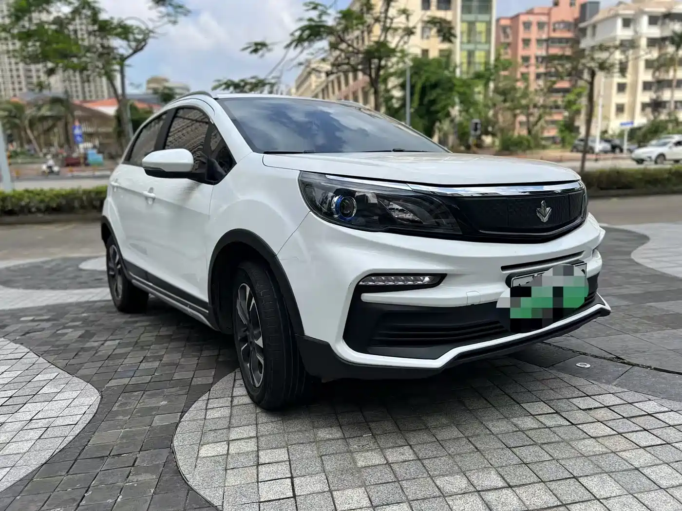 RUILAN AUTOMOBILE MAPLE LEAF 30X