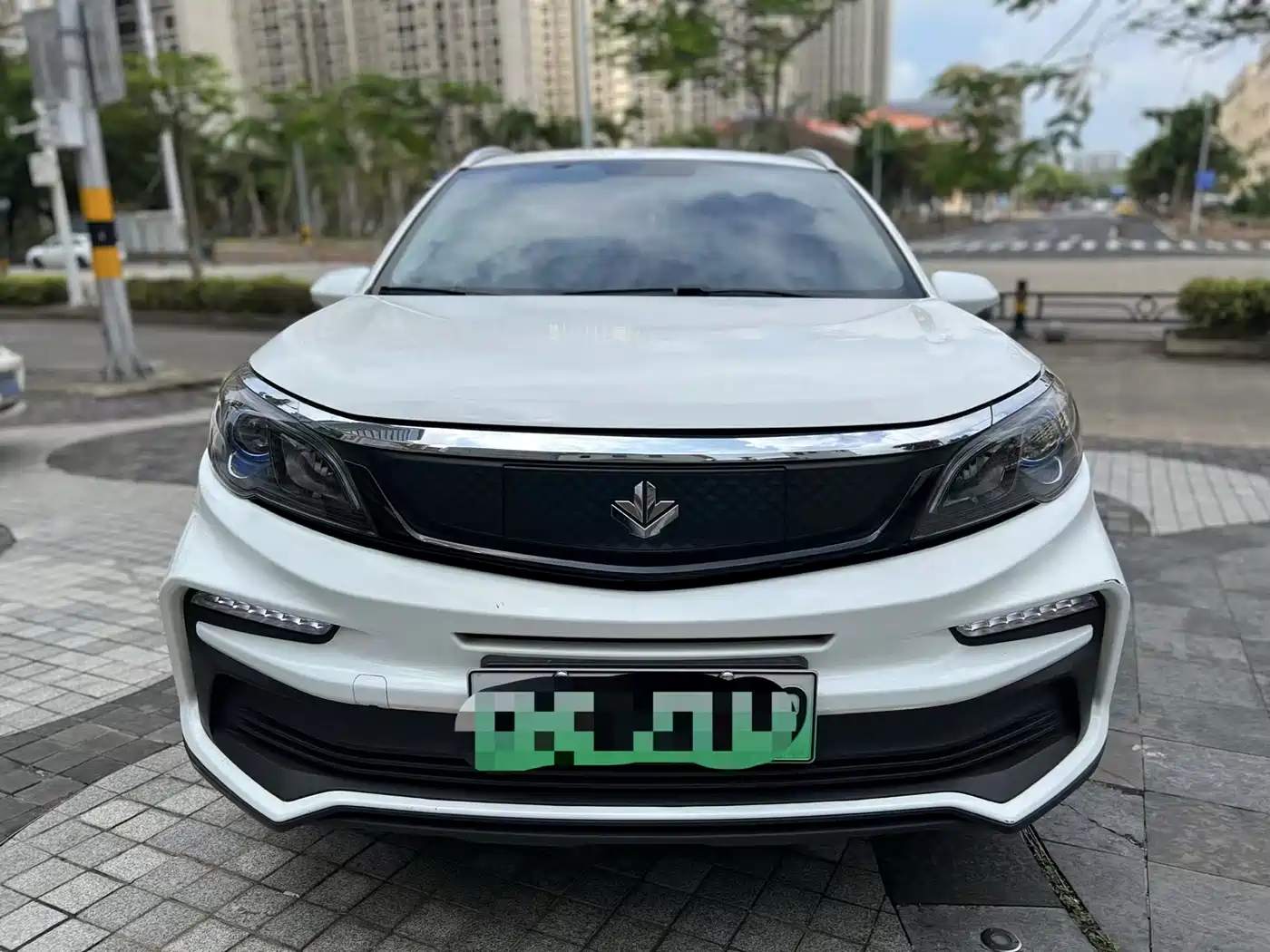 RUILAN AUTOMOBILE MAPLE LEAF 30X