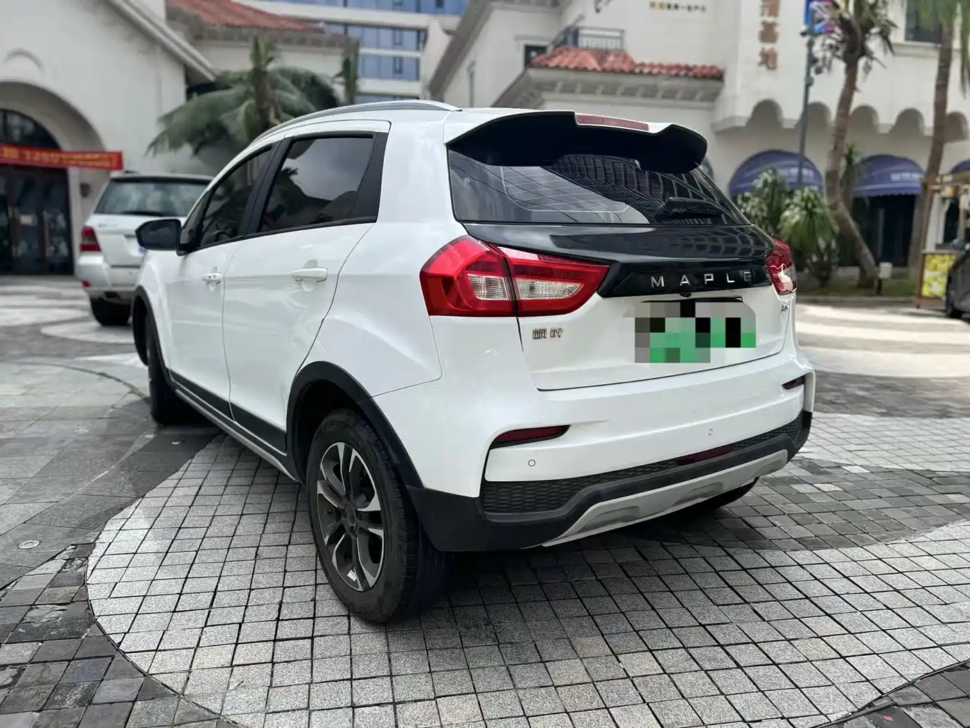 RUILAN AUTOMOBILE MAPLE LEAF 30X