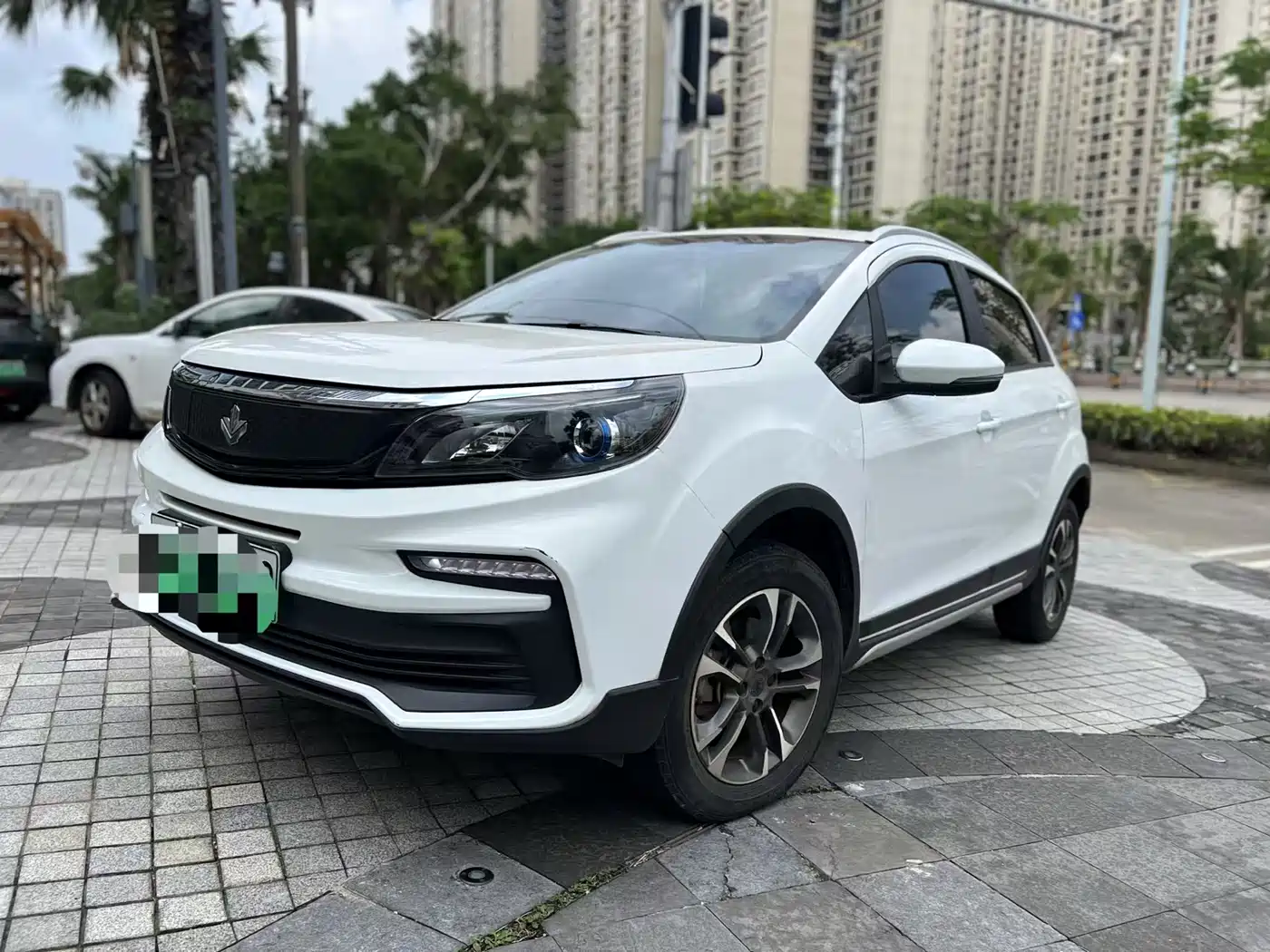 RUILAN AUTOMOBILE MAPLE LEAF 30X