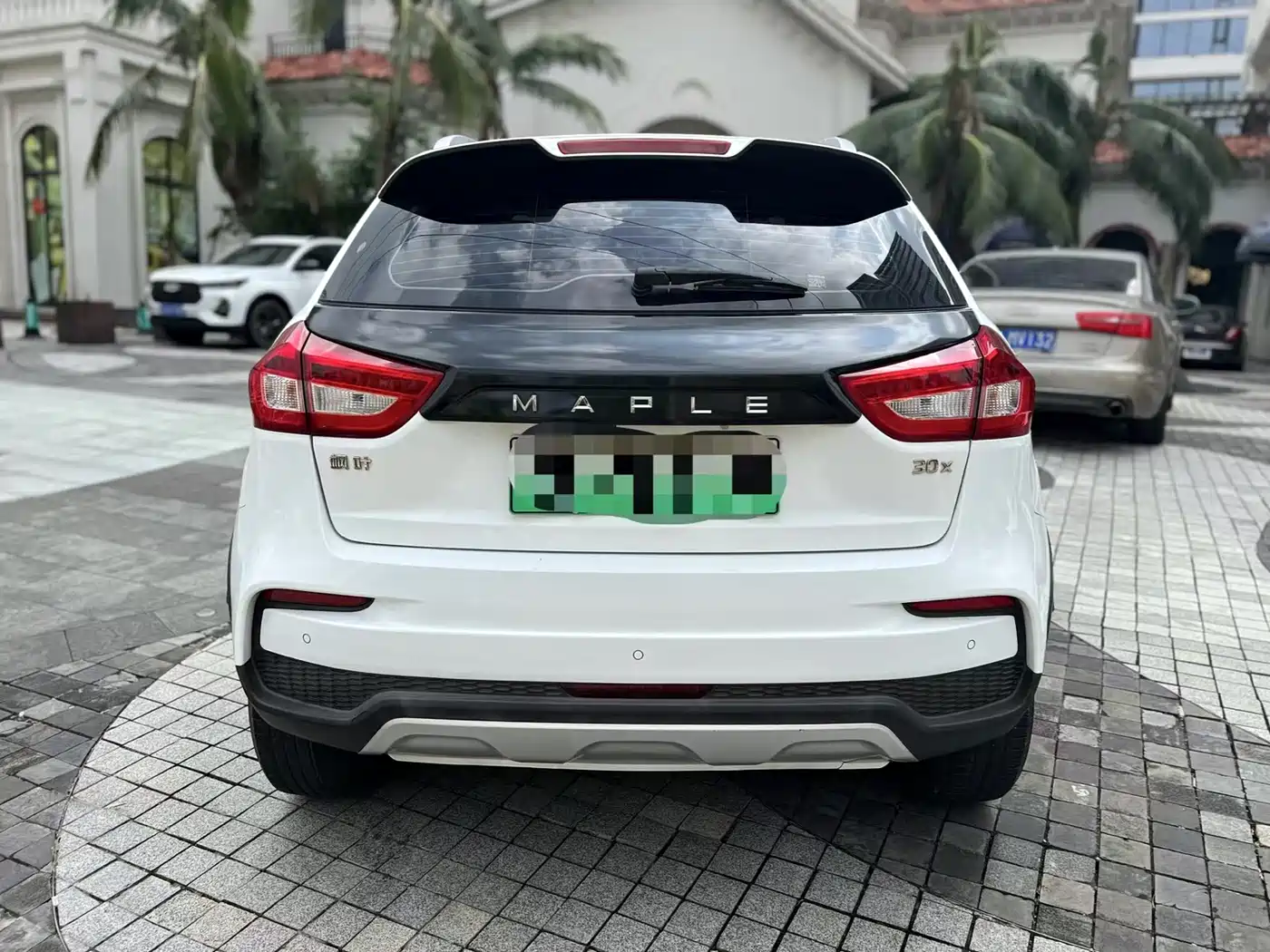 RUILAN AUTOMOBILE MAPLE LEAF 30X