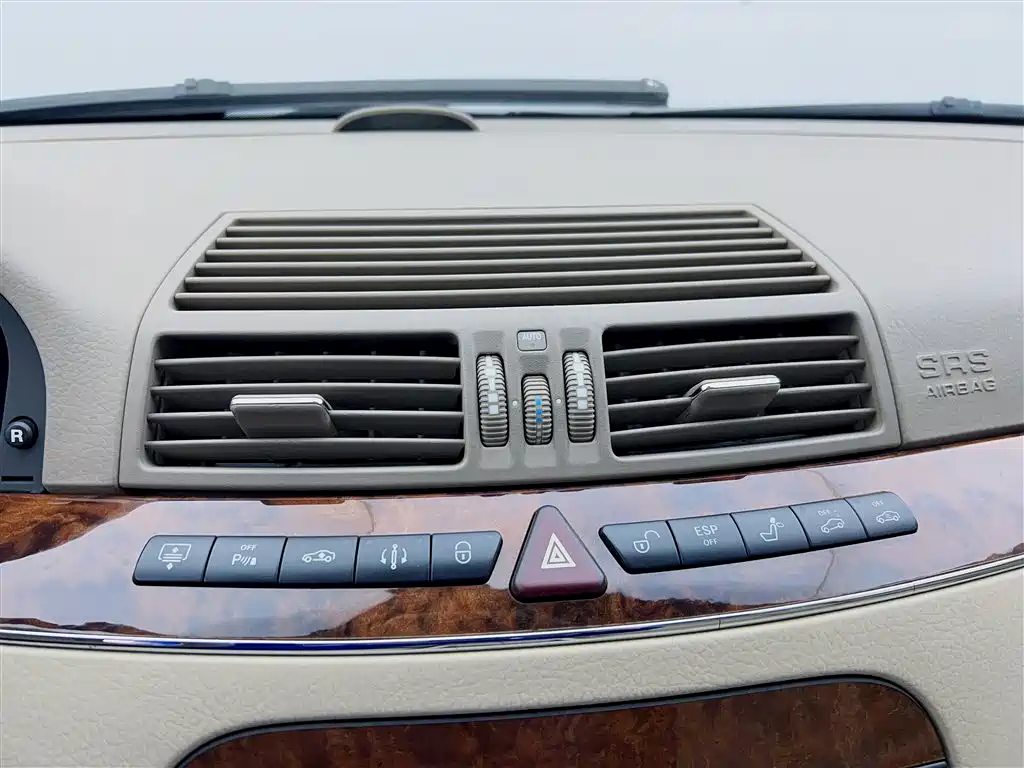 Mercedes-Benz S-Class 2004 S 350 фото 10
