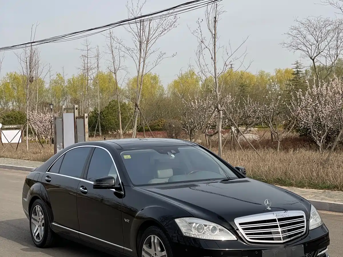 Mercedes-Benz S-Class 2010 S 600 L фото 2