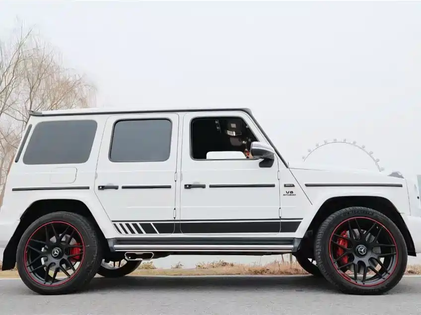 Mercedes-Benz G-Class 2019 G 500 фото 2