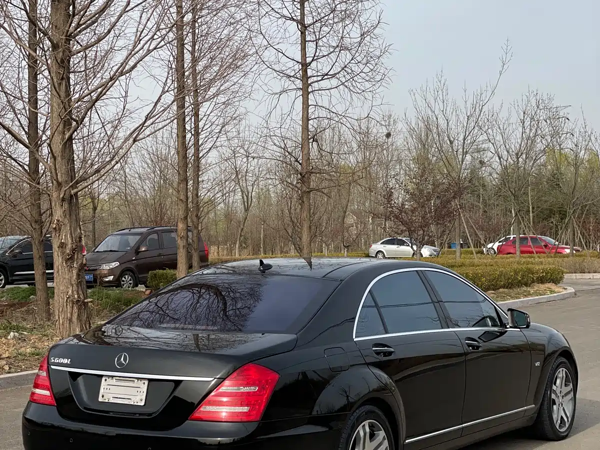 Mercedes-Benz S-Class 2010 S 600 L фото 5