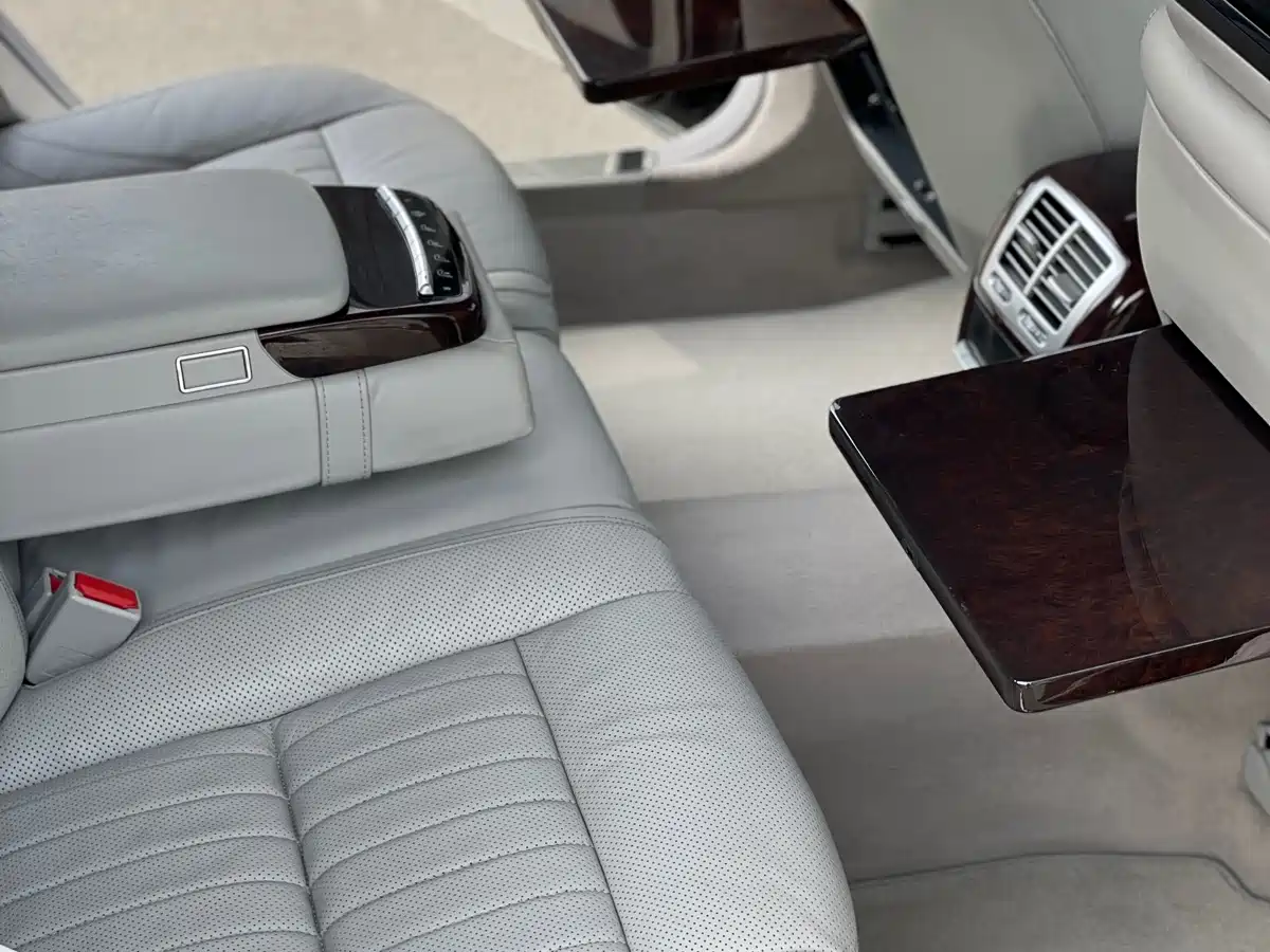 Mercedes-Benz S-Class 2010 S 600 L фото 23
