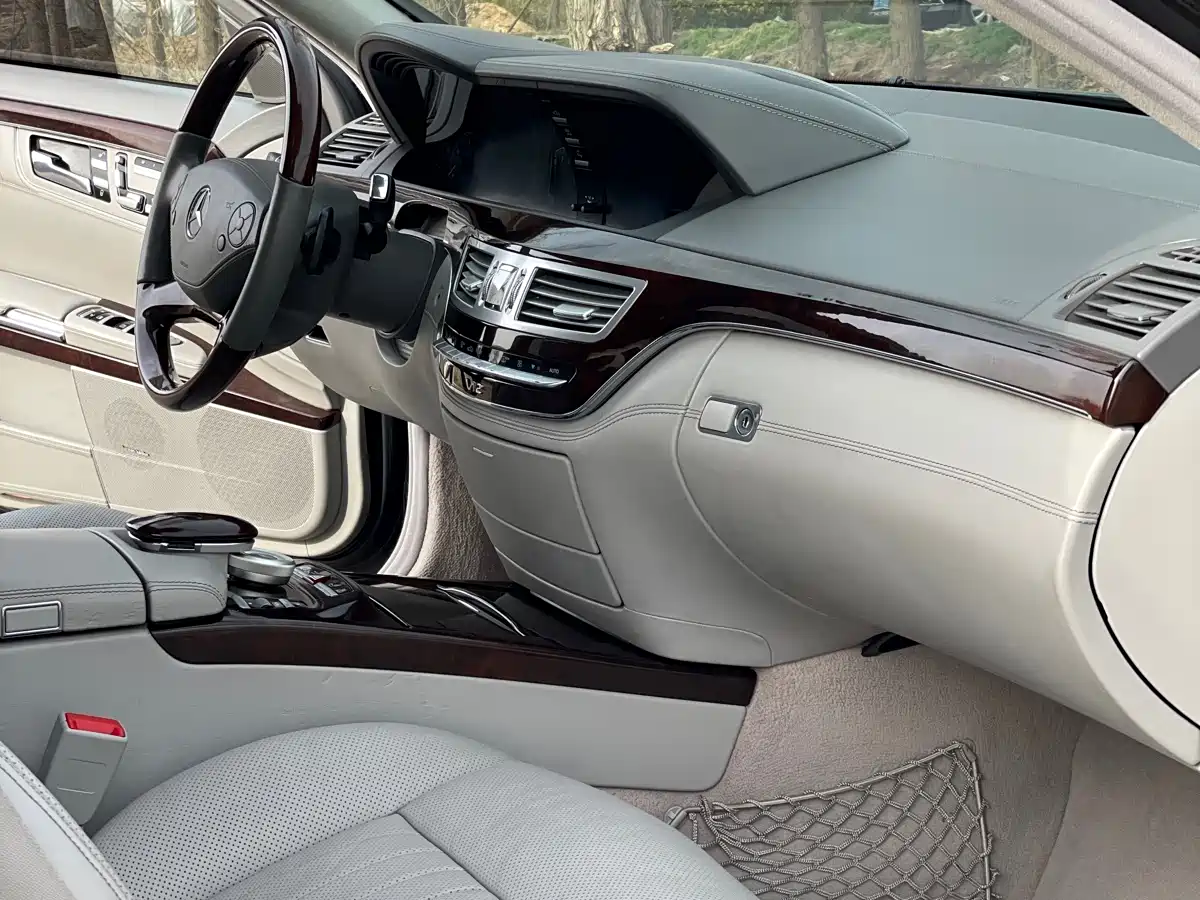 Mercedes-Benz S-Class 2010 S 600 L фото 13