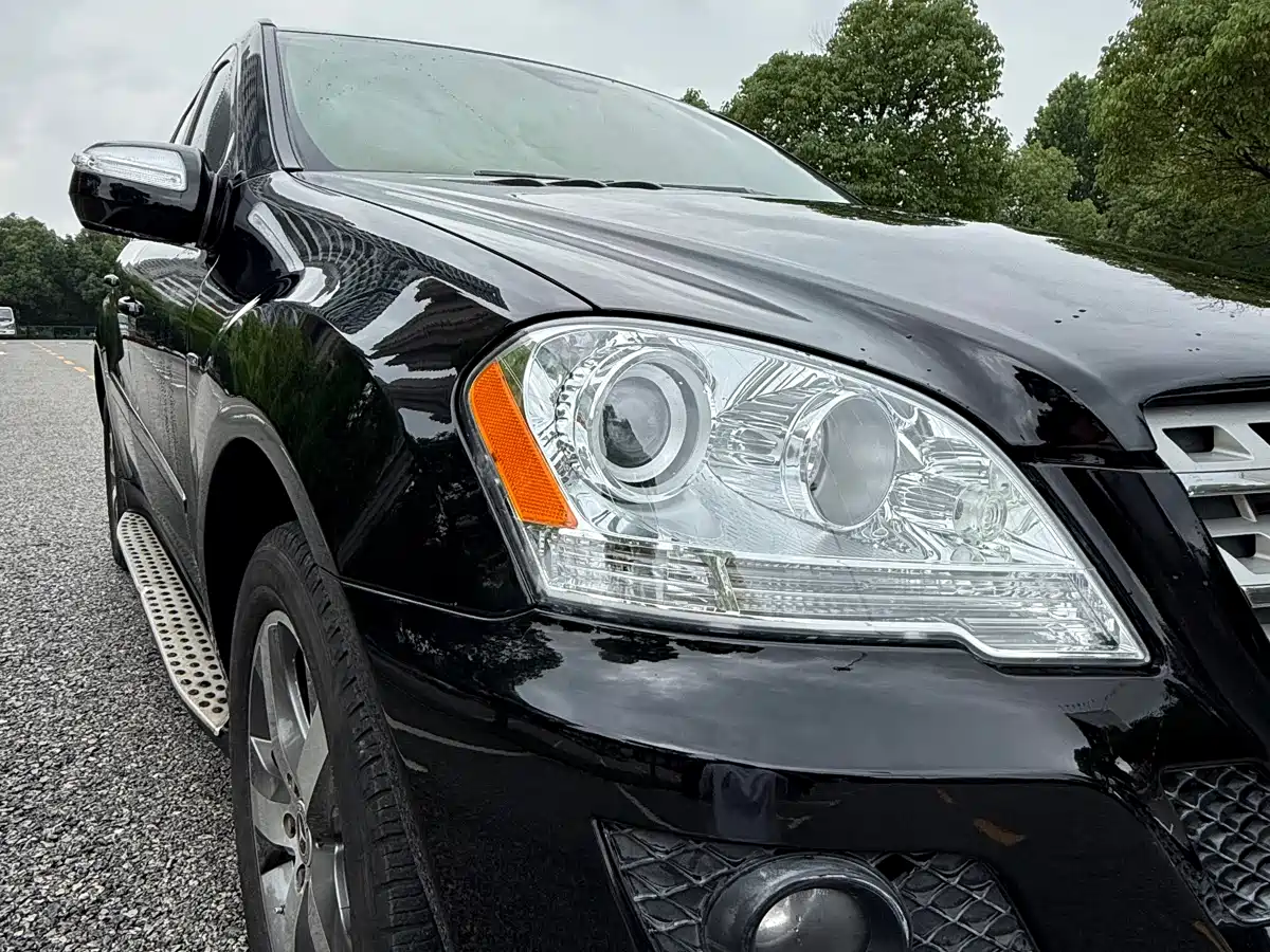 Mercedes-Benz M-Class 2010 ML 350 4MATIC Luxury фото 16