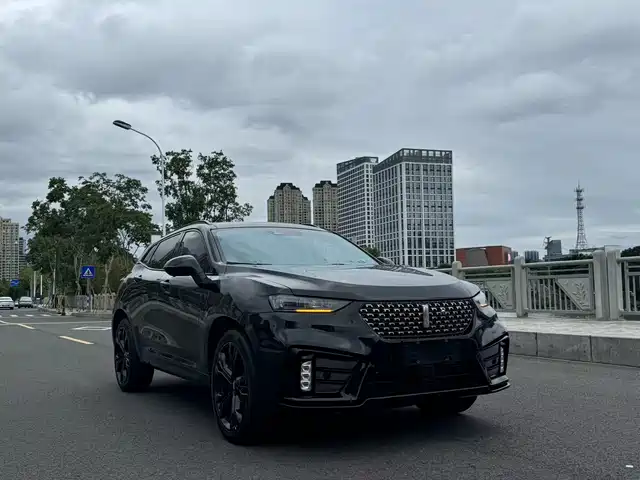 WEI PAI WEI BRAND VV7