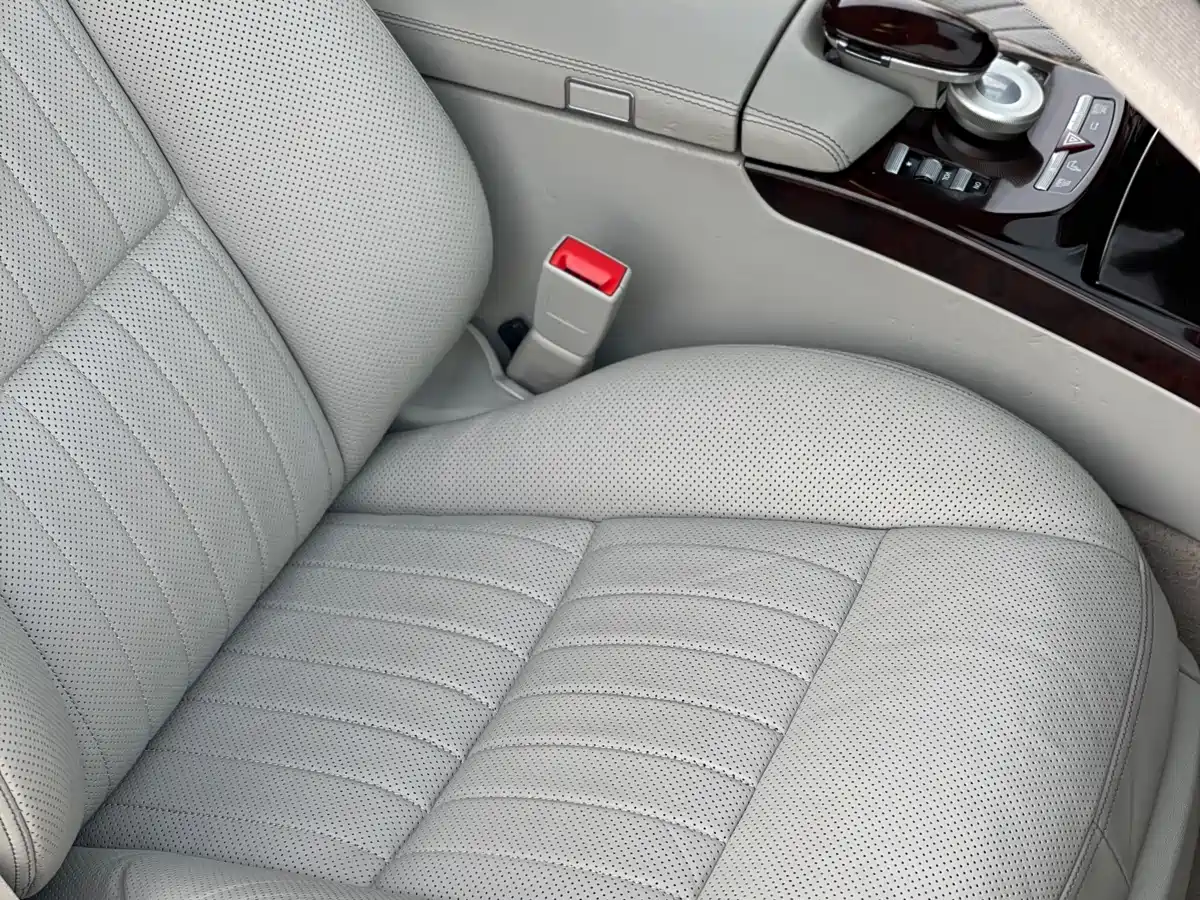 Mercedes-Benz S-Class 2010 S 600 L фото 15