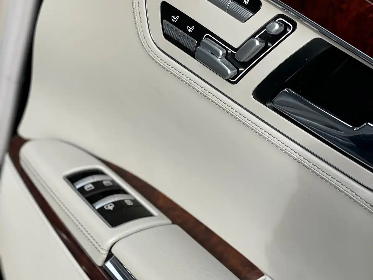 Mercedes-Benz S-Class 2010 S 600 L фото 31