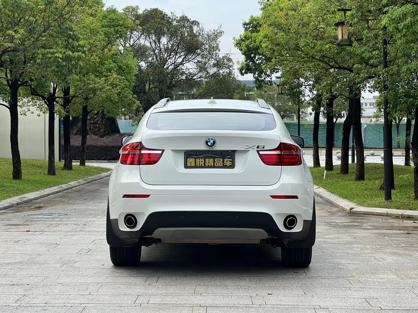 BMW X6 2013 xDrive35i фото 6