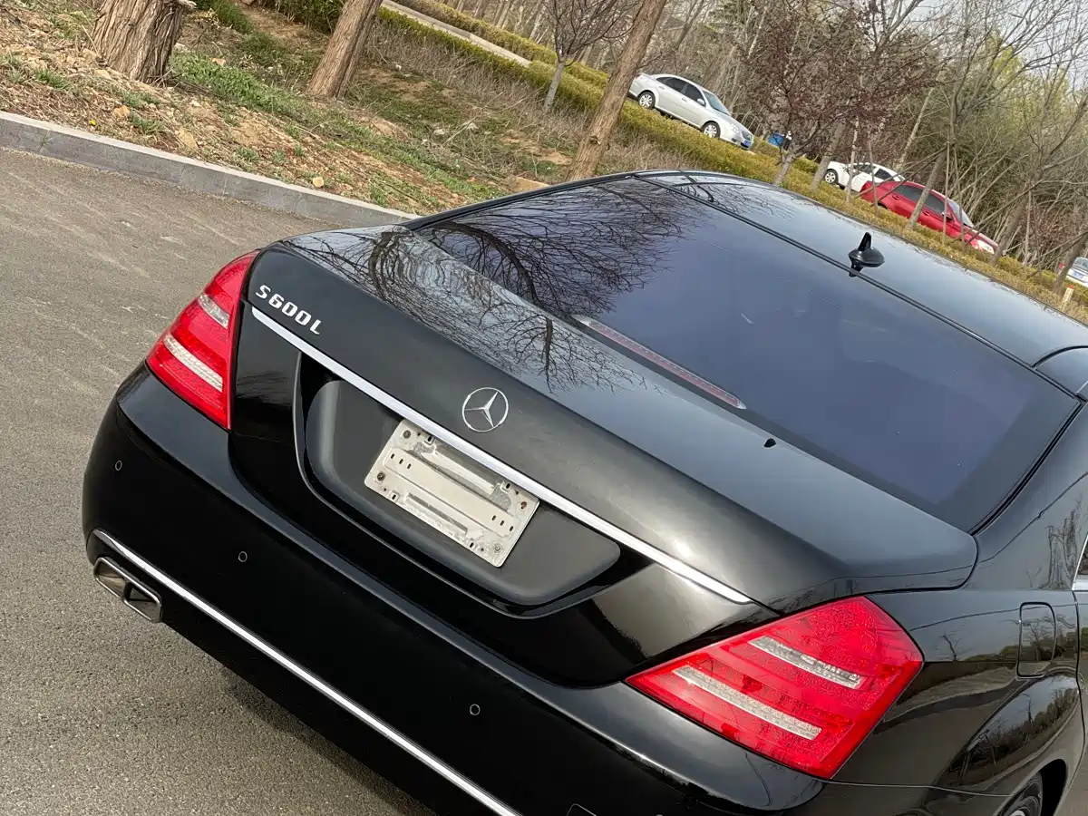 Mercedes-Benz S-Class 2010 S 600 L фото 6