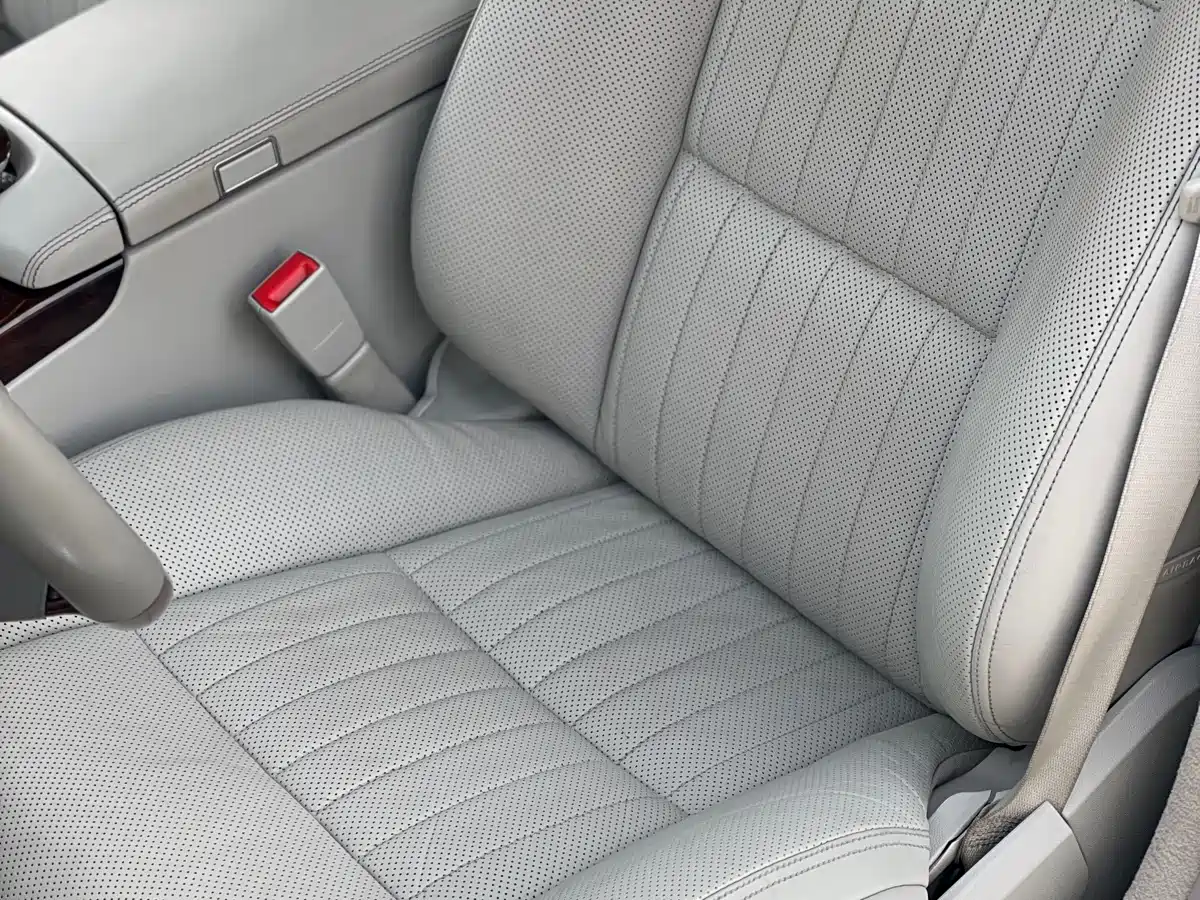 Mercedes-Benz S-Class 2010 S 600 L фото 17