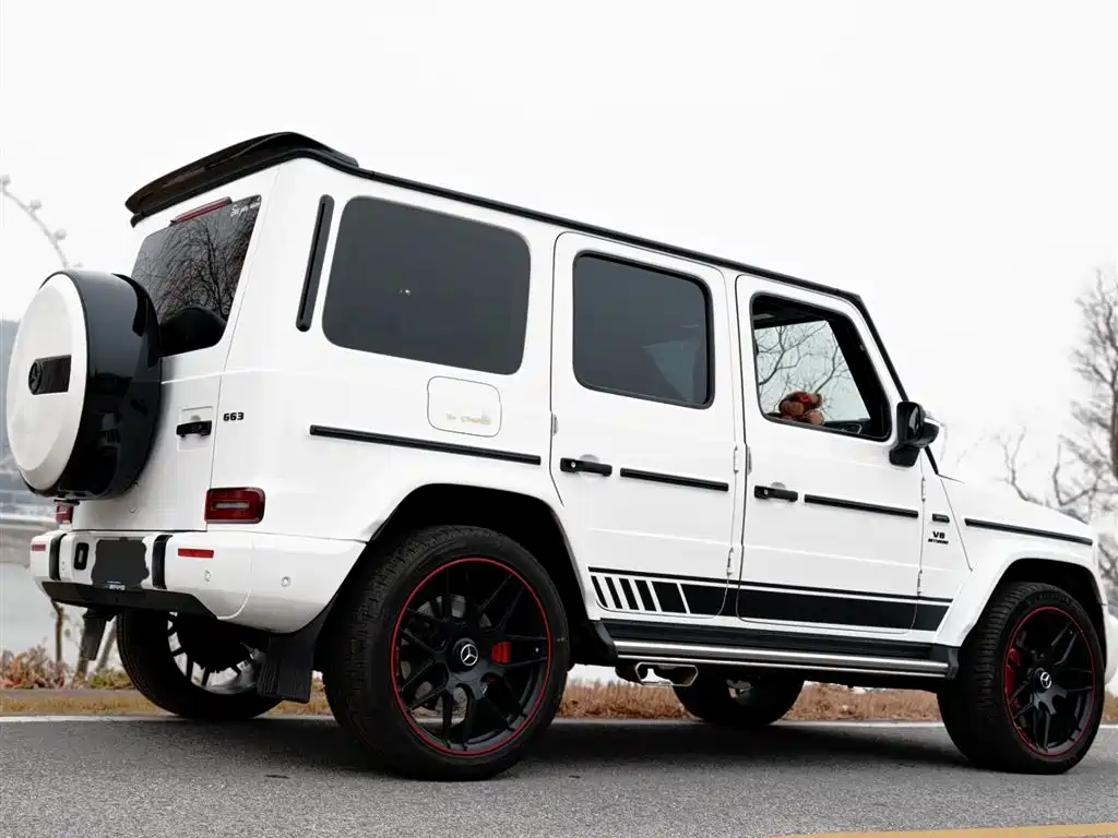 Mercedes-Benz G-Class 2019 G 500 фото 3