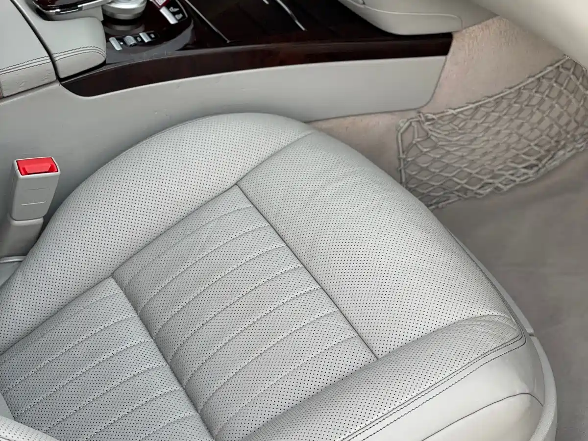 Mercedes-Benz S-Class 2010 S 600 L фото 14