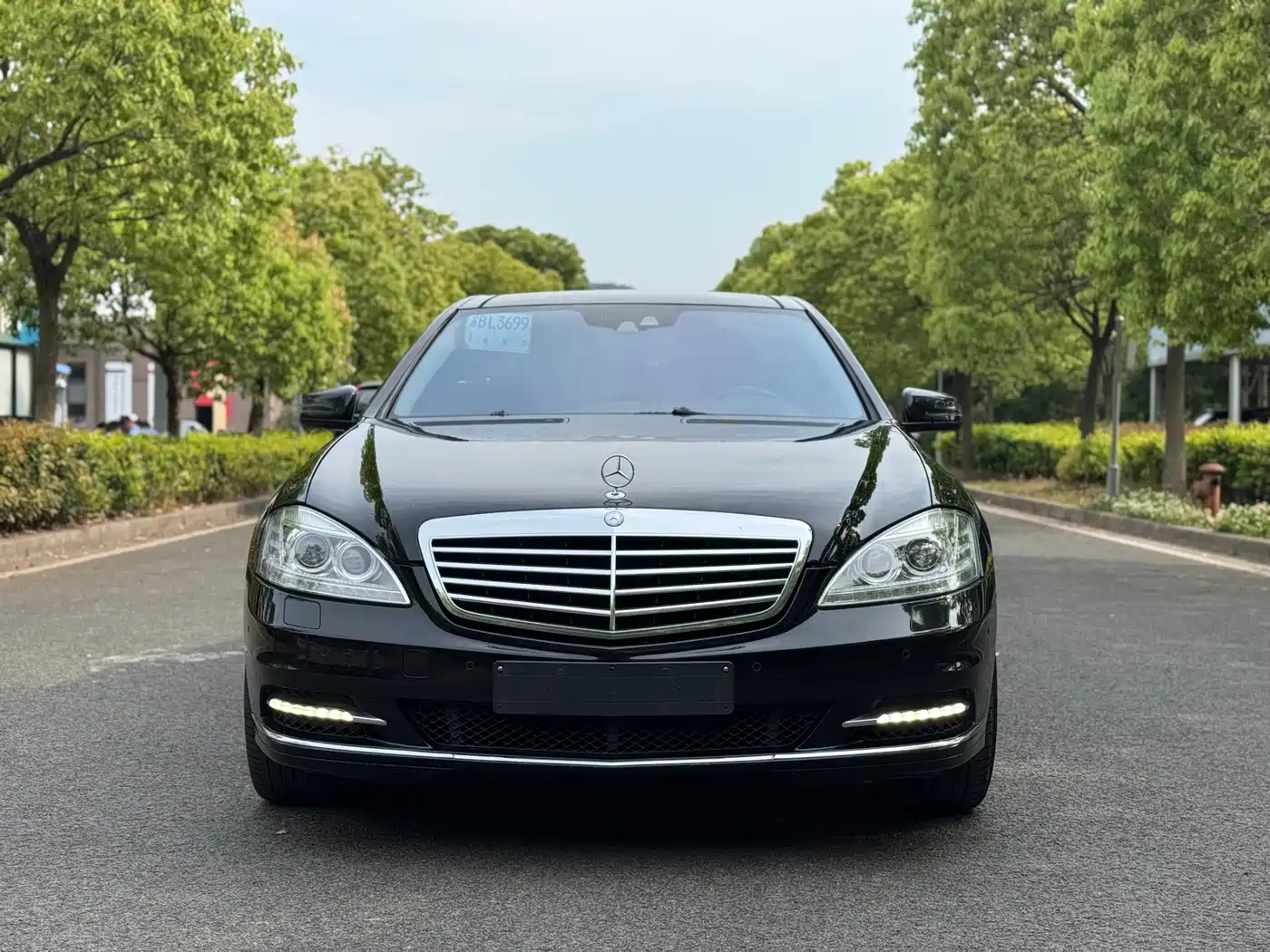 Mercedes-Benz S-Class 2010 S 350 L Luxury фото 2