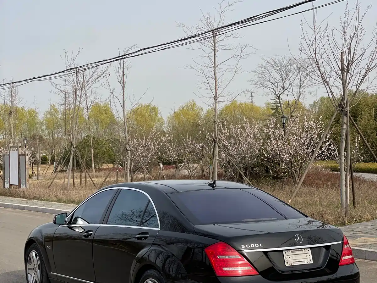 Mercedes-Benz S-Class 2010 S 600 L фото 8