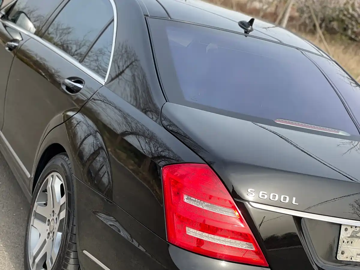 Mercedes-Benz S-Class 2010 S 600 L фото 7