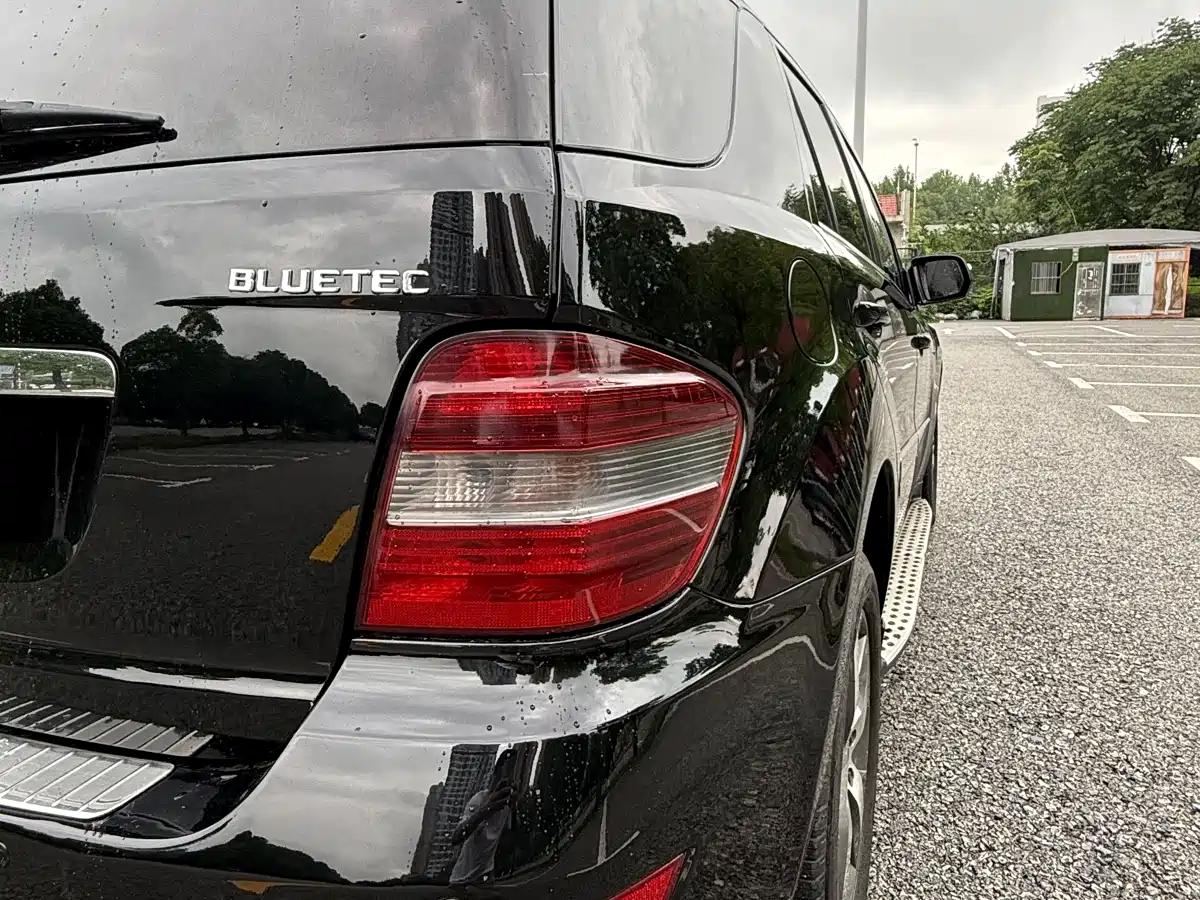 Mercedes-Benz M-Class 2010 ML 350 4MATIC Luxury фото 15