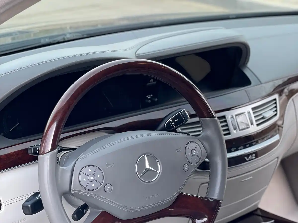 Mercedes-Benz S-Class 2010 S 600 L фото 12