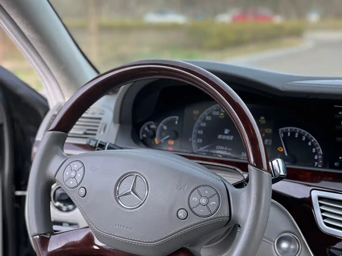 Mercedes-Benz S-Class 2010 S 600 L фото 25