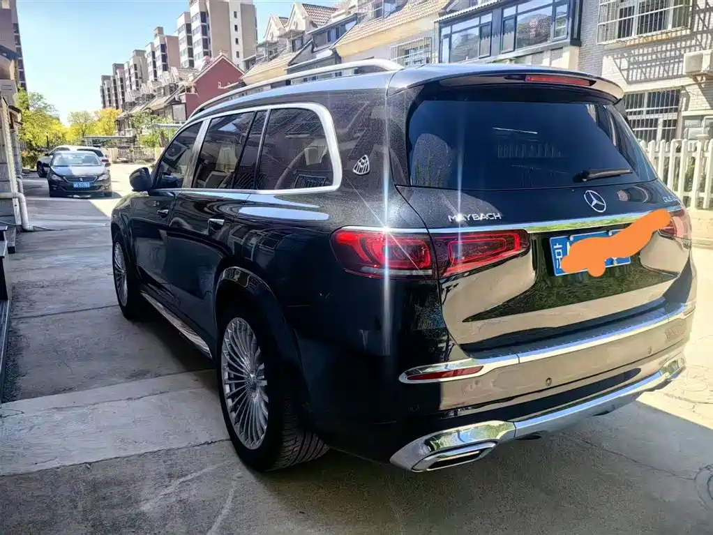 Mercedes-Benz Maybach GLS 2021 GLS 480 4MATIC фото 6