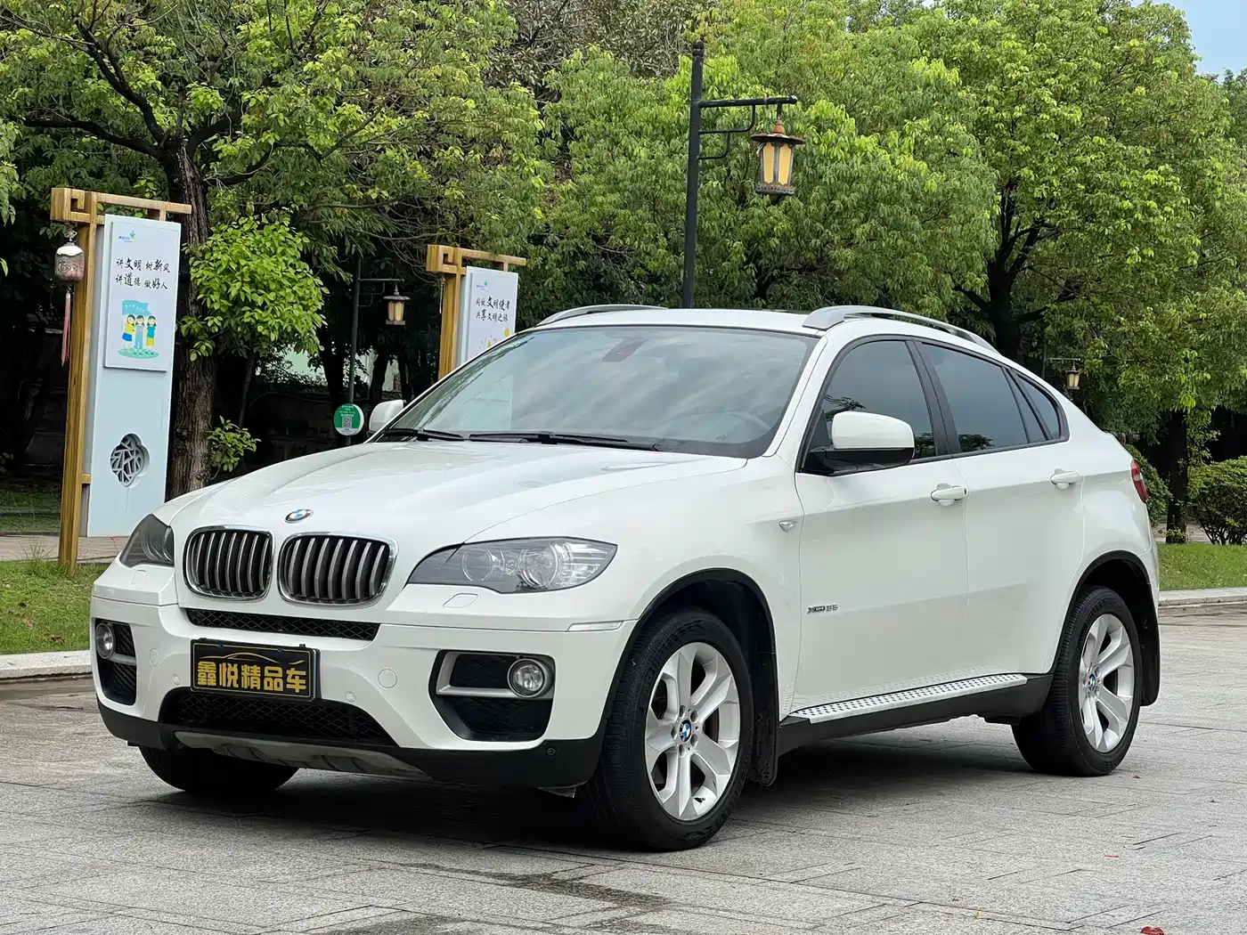 BMW X6 2013 xDrive35i