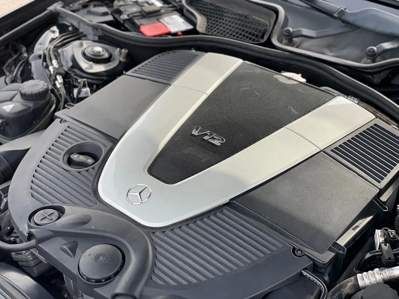 Mercedes-Benz S-Class 2010 S 600 L фото 11