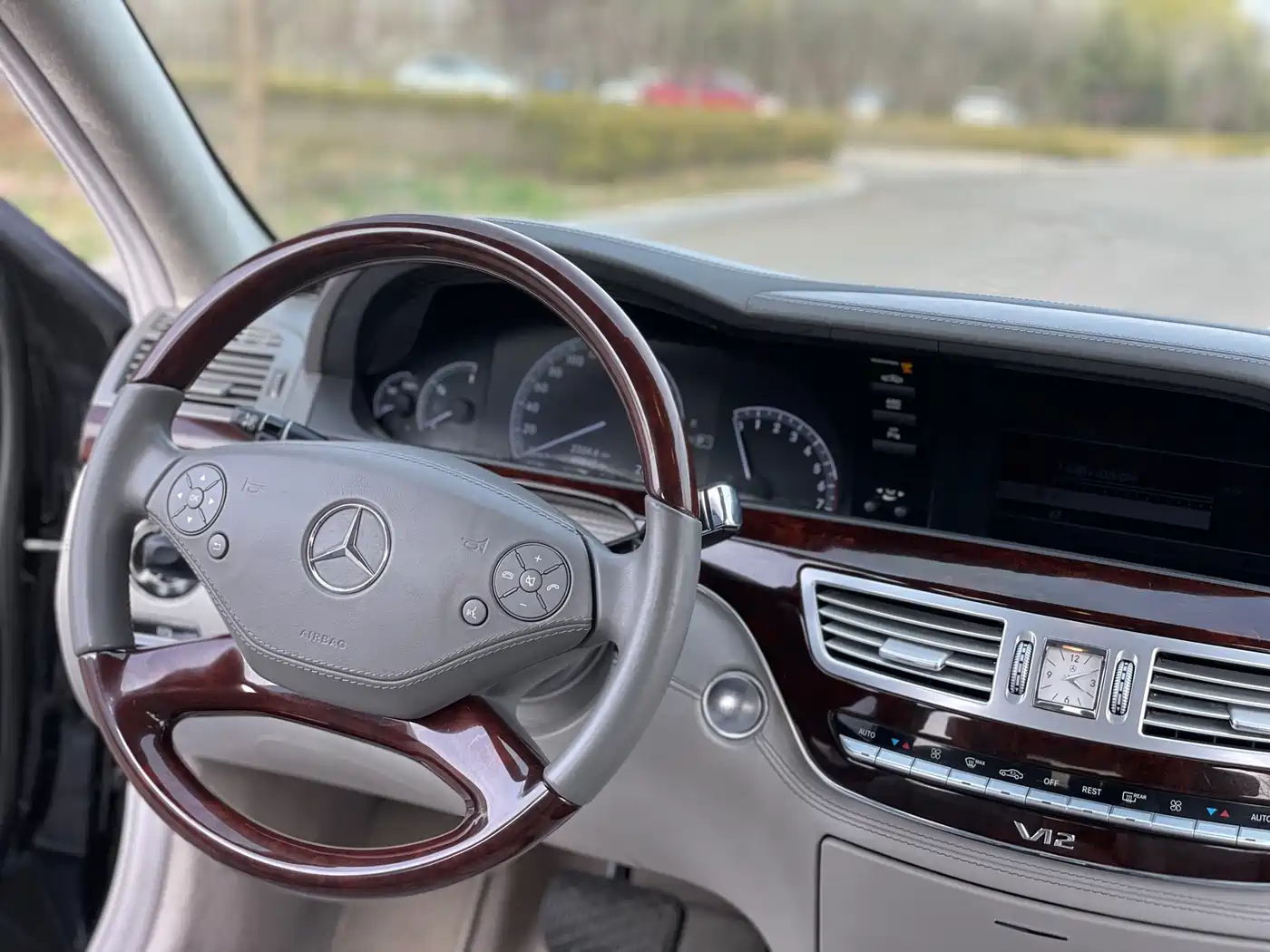 Mercedes-Benz S-Class 2010 S 600 L фото 26