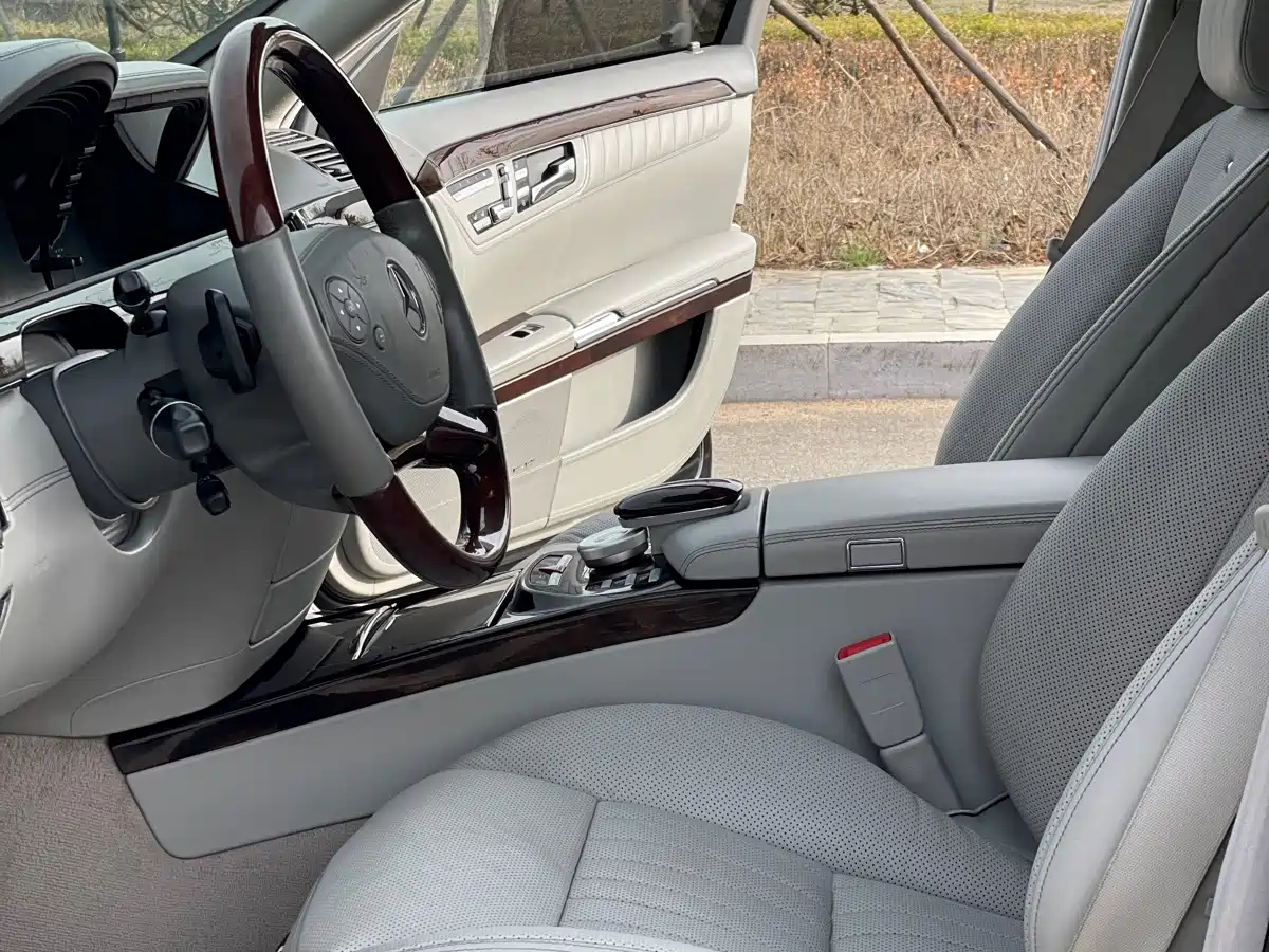 Mercedes-Benz S-Class 2010 S 600 L фото 18