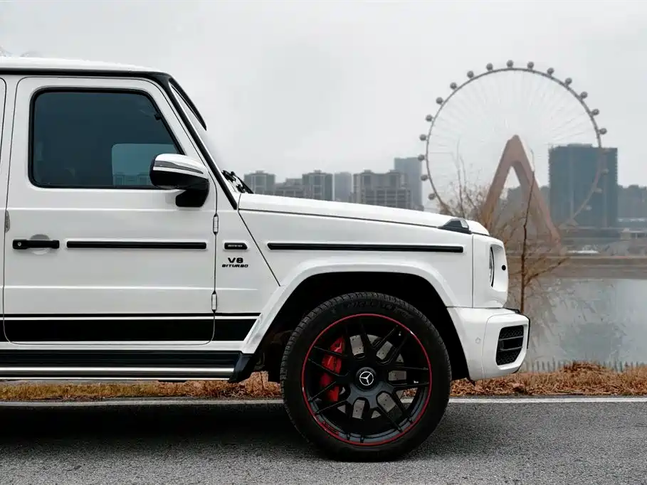 Mercedes-Benz G-Class 2019 G 500 фото 4