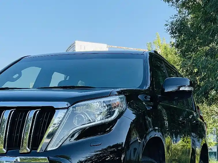 Toyota Prado 2016 3.5L Auto TX-L NAVI фото 26