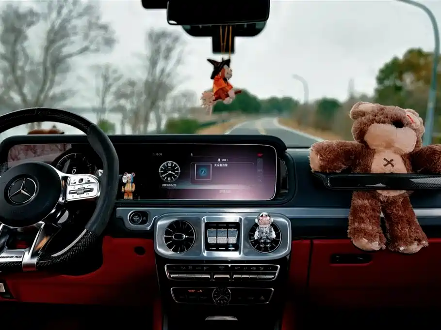 Mercedes-Benz G-Class 2019 G 500 фото 5