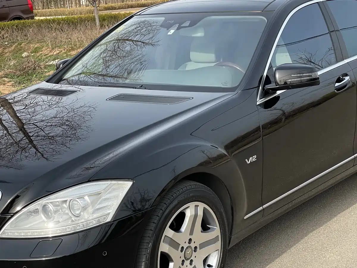 Mercedes-Benz S-Class 2010 S 600 L фото 4