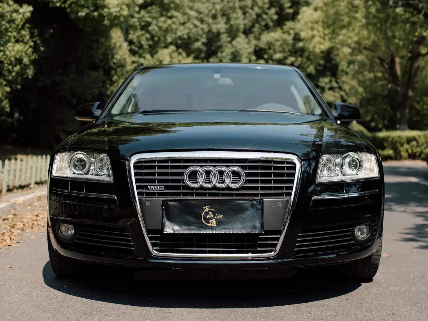 Audi A8 2006 A8L 6.0 W12 quattro Flagship фото 22