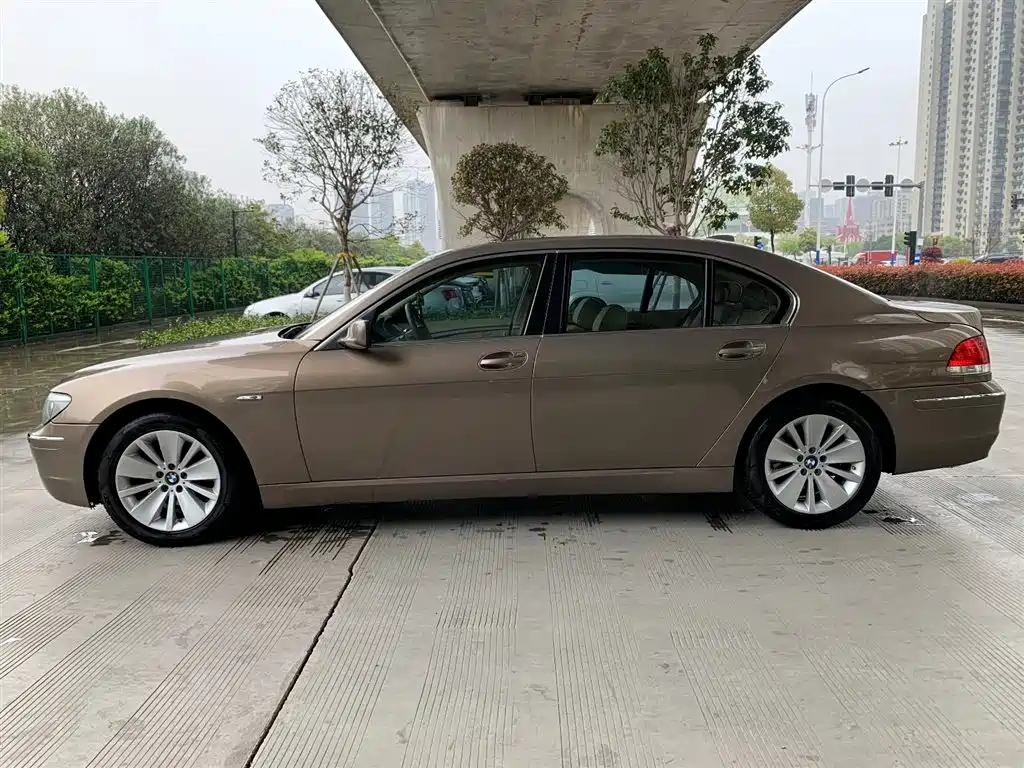 BMW 7 Series 2008 Model 730Li Leading фото 7