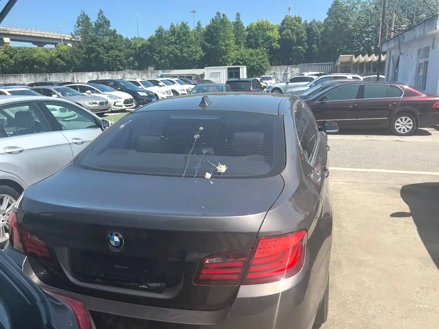 BMW 5 Series 2011 523Li Leading фото 14