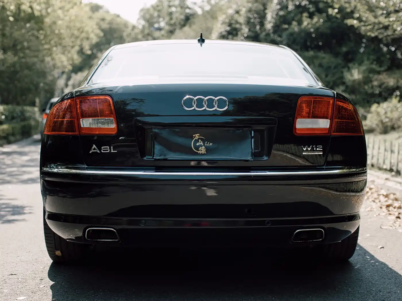 Audi A8 2006 A8L 6.0 W12 quattro Flagship фото 3